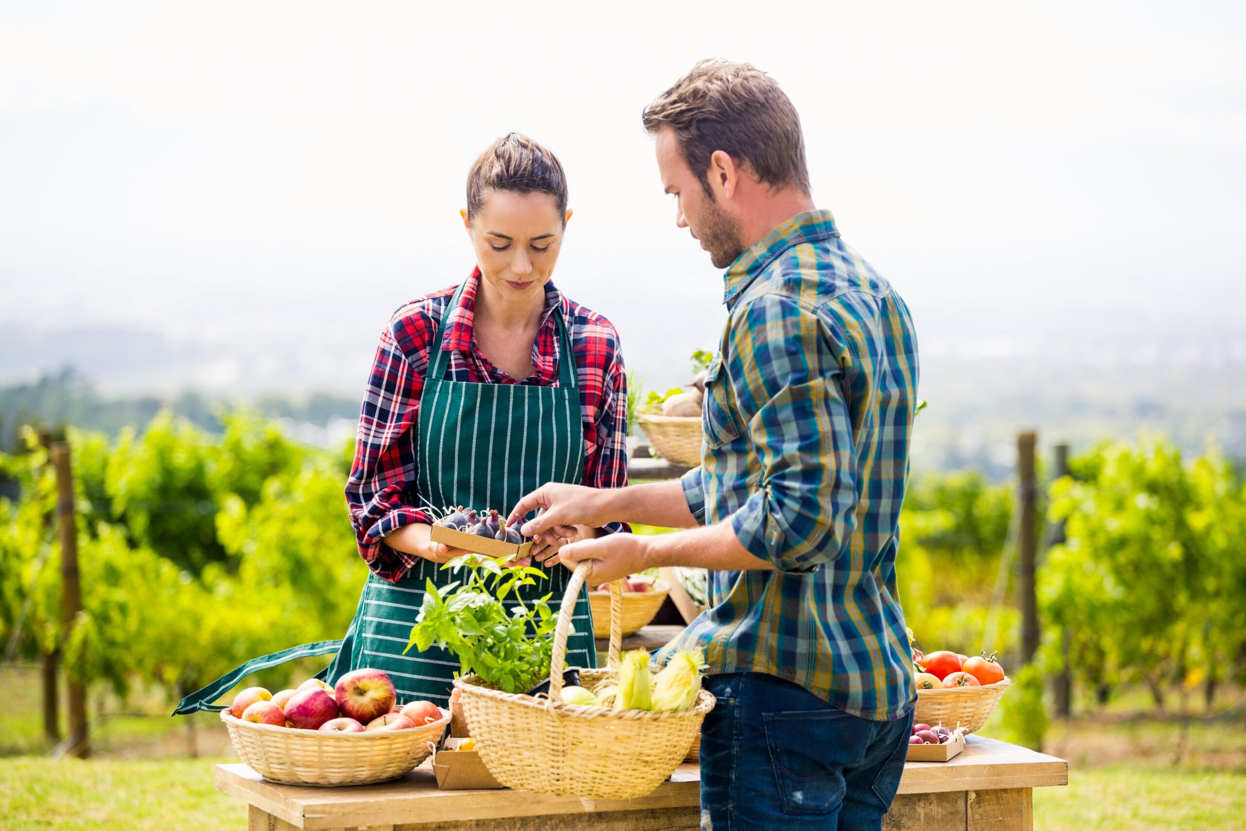 Farm To Table Focus